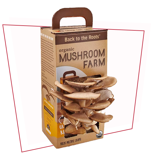 Custom Mushroom Growing Kit Boxes | Custom Printed Mushroom Growing Kit ...